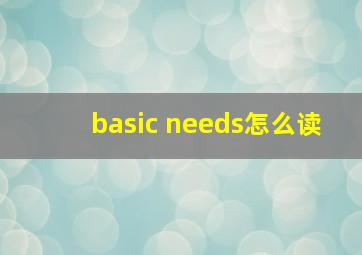 basic needs怎么读